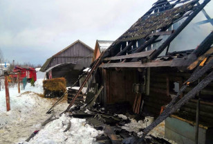 При пожаре в хозпостройке в Смоленской области погибли домашние животные