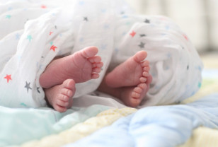10 двоен родилось в Смоленской области в январе 