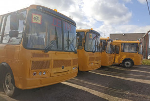 61 новый школьный автобус получила Смоленская область в 2023 году