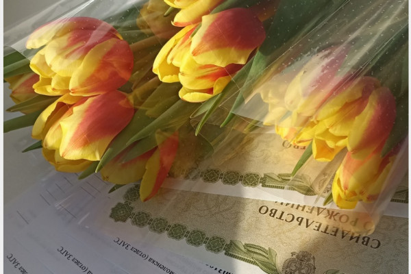 Смоленский ЗАГС устроил День тюльпанов для молодых мам