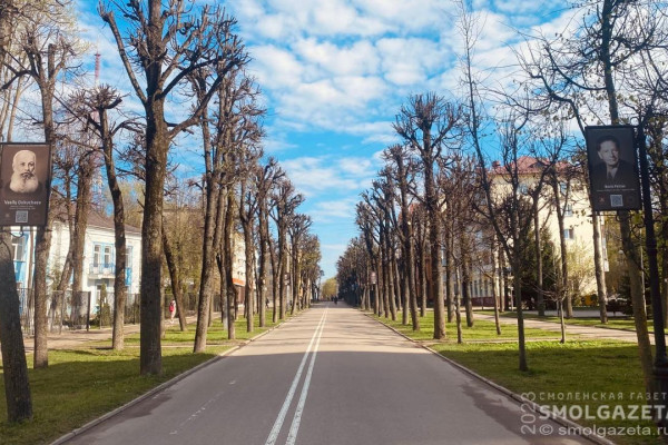 В Смоленске обсудили концепцию ремонта улицы Октябрьской революции 