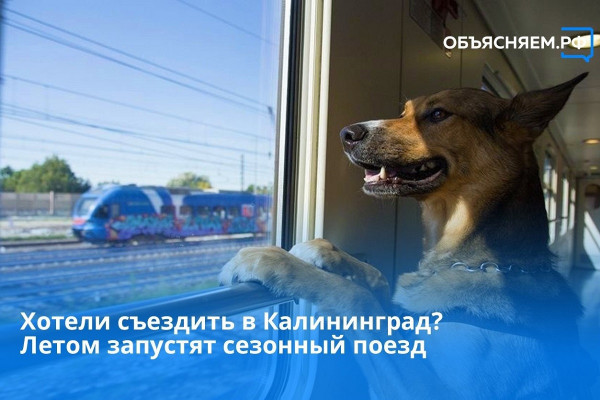 Летом через Смоленск будет ездить поезд до Калининграда