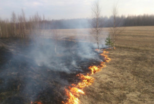 В Смоленской области зарегистрировали семь палов сухой травы с начала года