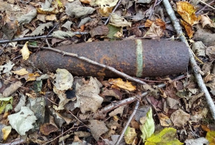 В Смоленской области найдены очередные боеприпасы времён ВОВ