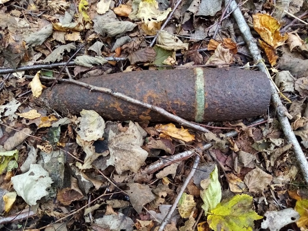В Смоленской области найдены очередные боеприпасы времён ВОВ