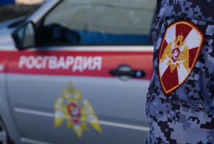 В Смоленской области за неделю Росгвардия пресекла около 125 правонарушений