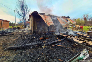 В деревне Барсуки Гагаринского района пожар унёс жизни 14 перепелок