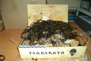 В Смоленской области обнаружили 700 килограммов морских деликатесов в фуре с мебелью