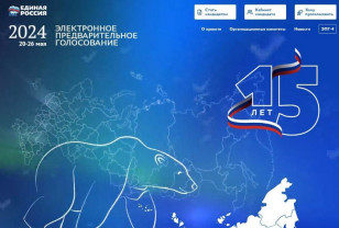 Приём заявок на участие в предварительном голосовании «Единой России» на Смоленщине продлён до 8 мая