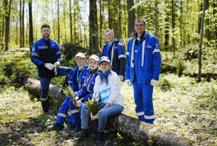 Смоленские школьники и волонтёры предприятий активно участвуют в озеленении региона