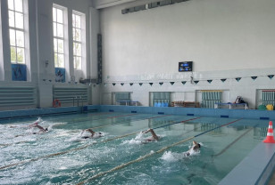 Смоленские росгвардейцы заняли второе место в чемпионате «Динамо» по плаванью