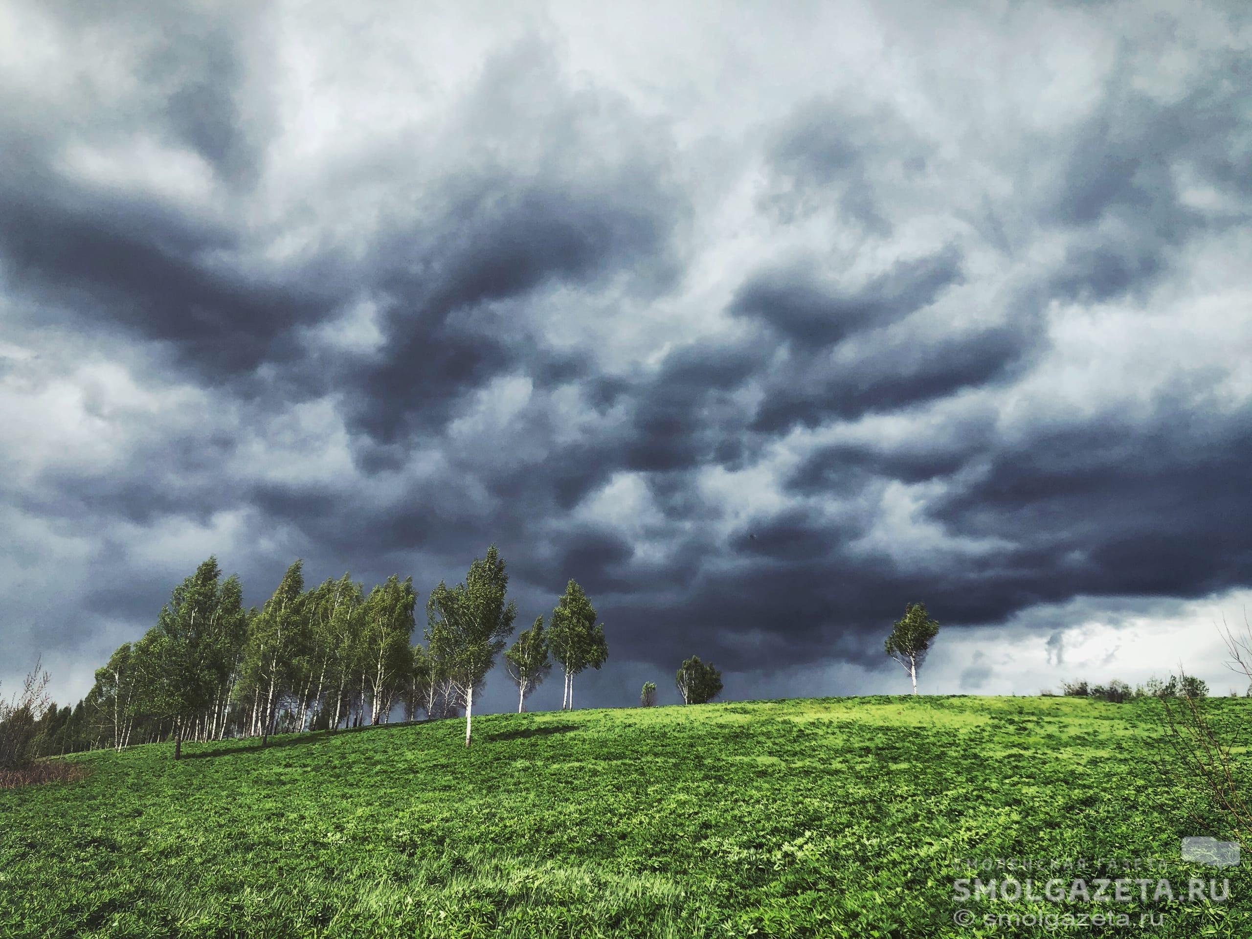 В Смоленской области в воскресенье обещают дождь с грозой 