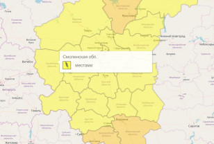 В Смоленской области объявили «жёлтый» уровень погодной опасности 