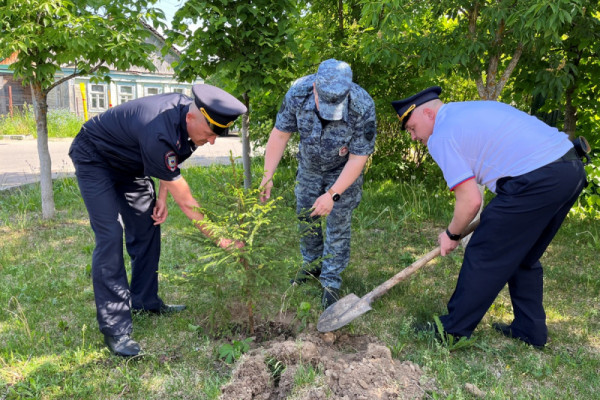 В Гагарине полицейские приняли участие в акции «Сад памяти»
