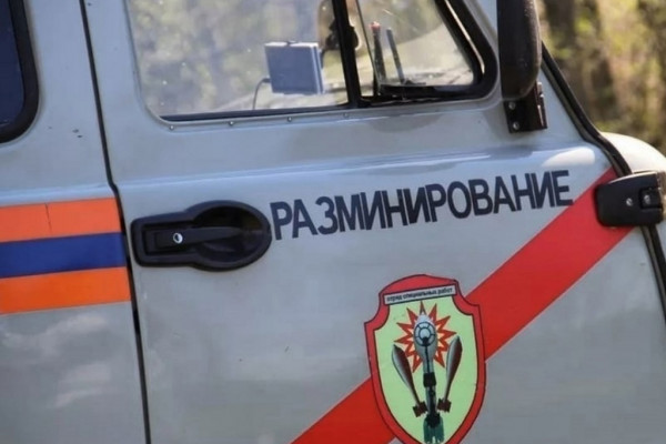 В Сычёвском районе Смоленской области нашли авиационную бомбу времён ВОВ