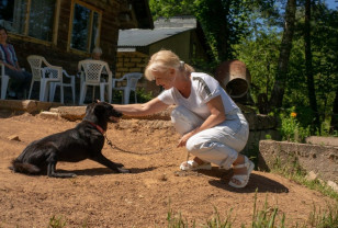 Руководитель «Ваш Тыл 67» Елена Потапенкова помогла смоленскому приюту для бездомных животных