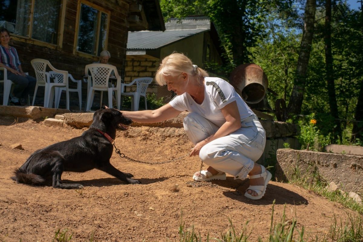Руководитель «Ваш Тыл 67» Елена Потапенкова помогла смоленскому приюту для бездомных животных