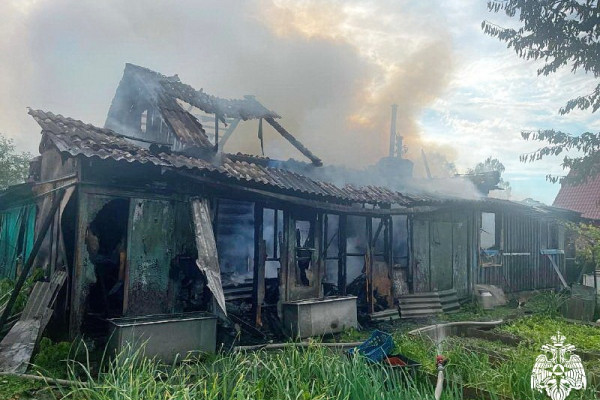 В Починке дом сгорел после попадания молнии