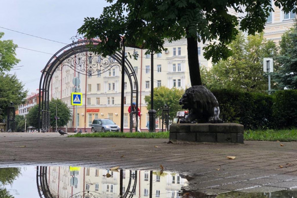 Сегодня в Смоленске из сада «Блонье» исчезнут львы.