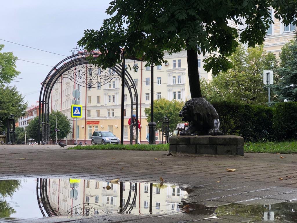 Сегодня в Смоленске из сада «Блонье» исчезнут львы.