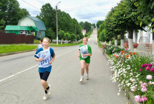 Как на Смоленщине проходит летний марафон сторонников «Единой России»