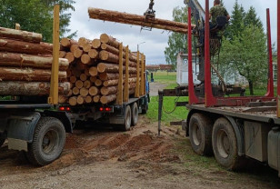 Партию древесины из Смоленской области отправили в зону СВО