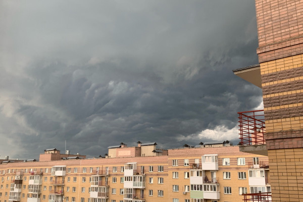 17 июля в Смоленской области ожидается жара и дождь