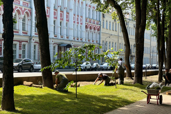 В Смоленске в Блонье укладывают рулонный газон