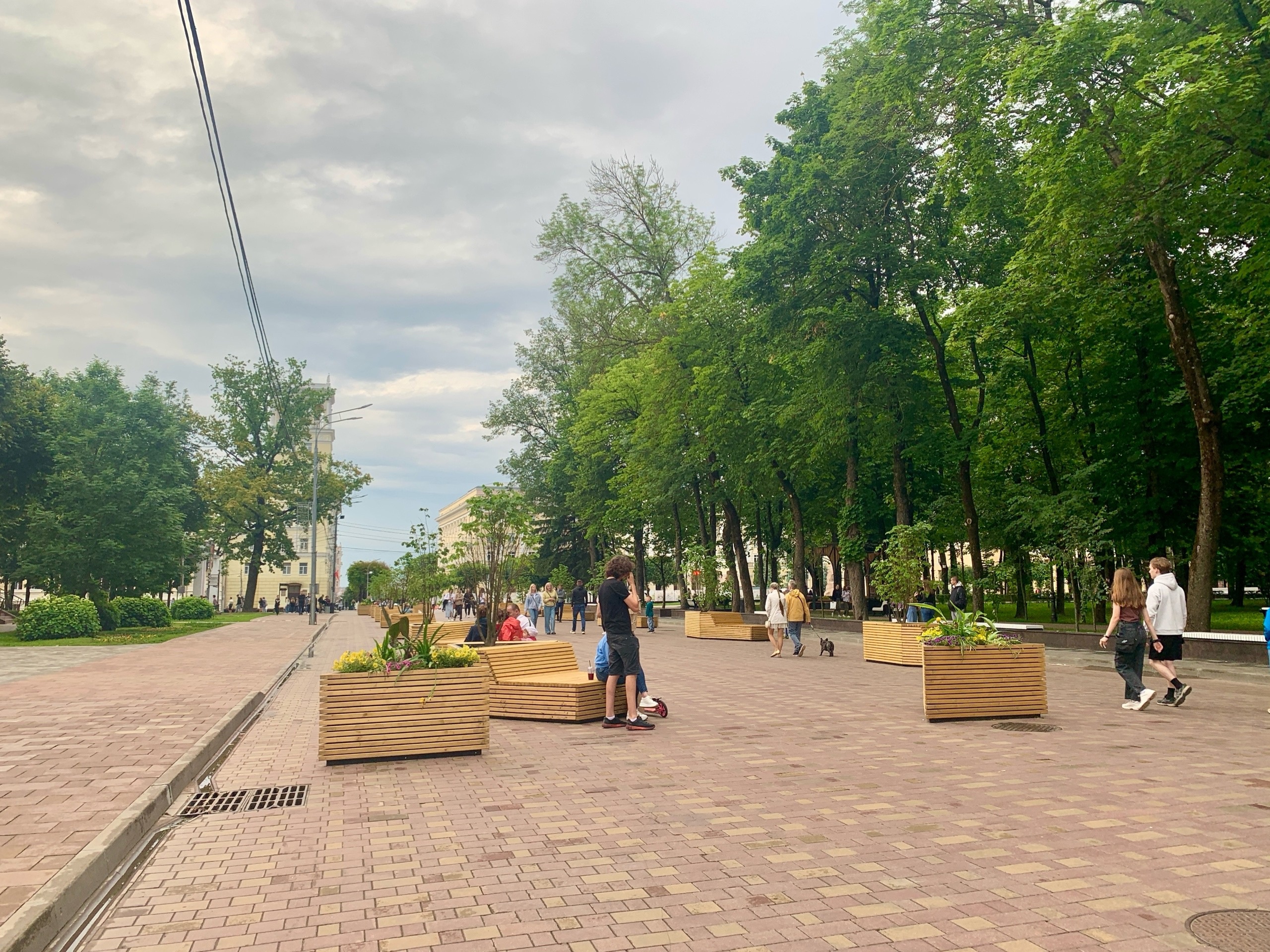 19 июля в Смоленской области будет дождливо