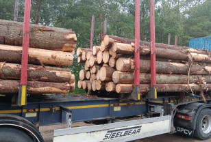 200 млн на поддержку: лесопользователи Смоленской области помогают войскам