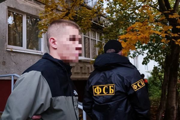 Житель Духовщинского района стал фигурантом уголовного дела по статье «Диверсия»