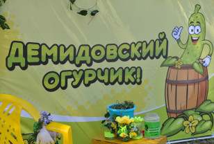 Как в Демидове Смоленской области отметили День огурца