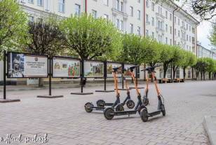 Каждый третий россиянин выступил за ужесточение ПДД для водителей электросамокатов