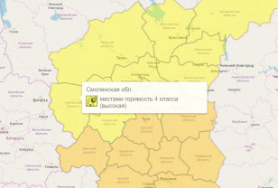 «Жёлтый» уровень пожарной опасности объявили в Смоленской области до 6 сентября