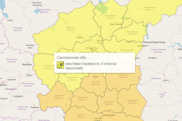 «Жёлтый» уровень пожарной опасности объявили в Смоленской области до 6 сентября