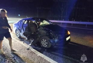 На трассе М-1 в Сафоновском районе произошла авария с участием двух автомобилей и автобуса