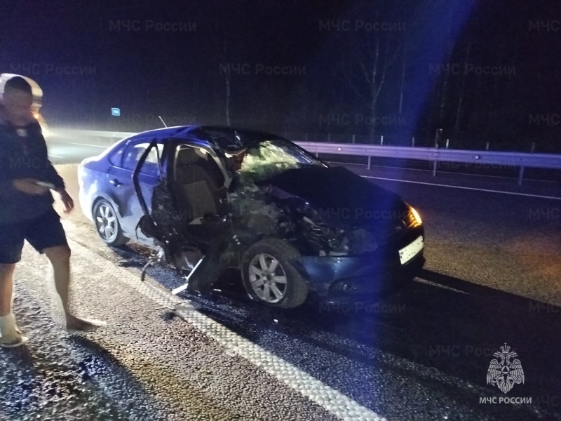 На трассе М-1 в Сафоновском районе произошла авария с участием двух автомобилей и автобуса