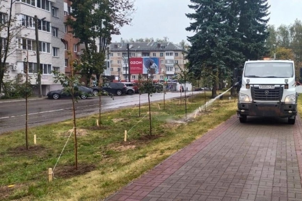 В Смоленске началась осенняя озеленительная кампания