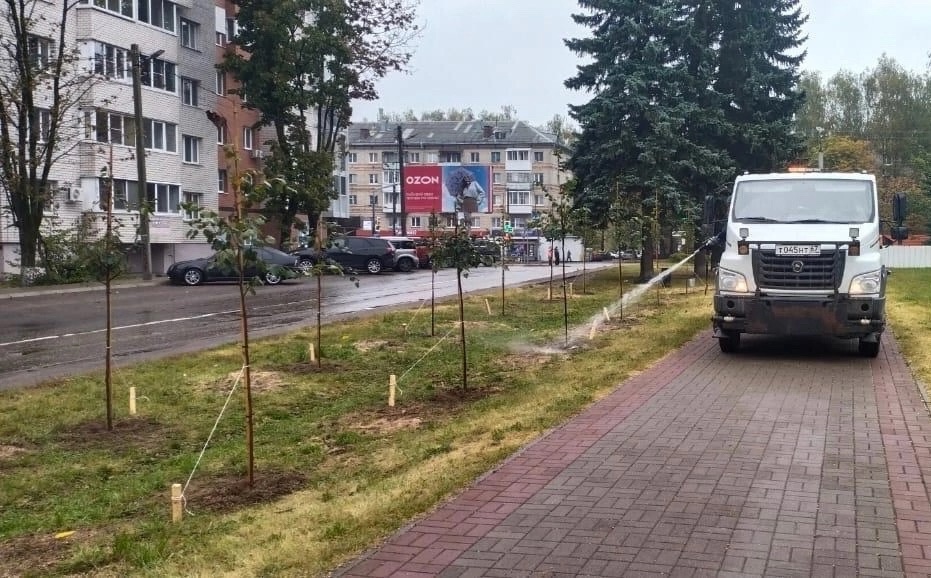 В Смоленске началась осенняя озеленительная кампания