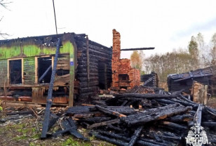 В Руднянском районе сгорели три постройки