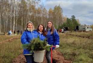 В Смоленской области появился «почтовый лес»