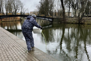 В Смоленске приступили к очистке пруда в Лопатинском саду