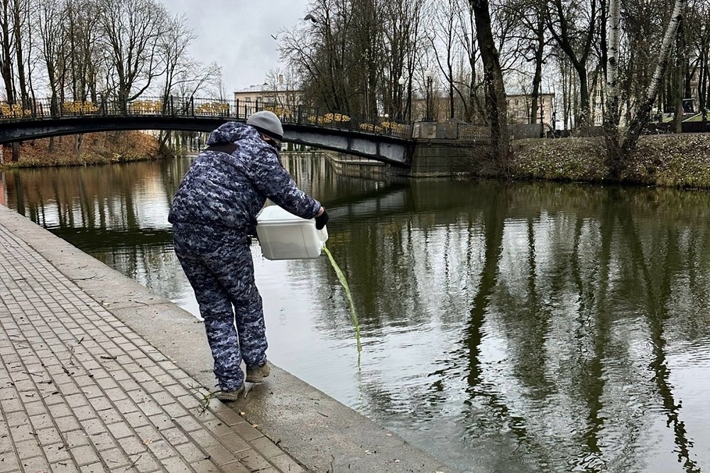 В Смоленске приступили к очистке пруда в Лопатинском саду