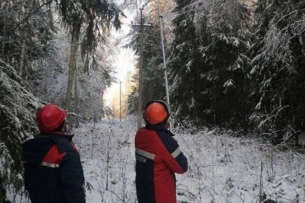 В Смоленской области свет возвращён ещё десяти тысячам жителей и в 13 школ в малонаселённых пунктах