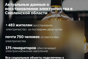 В Смоленской области все социальные объекты подключены к электроснабжению