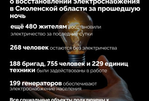 Без электроснабжения на Смоленщине остаются ещё 268 человек 