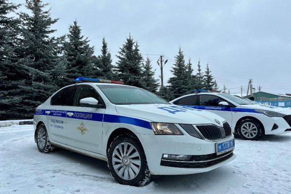 21 декабря Госавтоинспекция проведёт в Смоленске сплошные проверки водителей