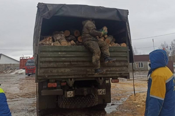 Арендатор лесного участка из Смоленской области отправил древесину для нужд спецоперации