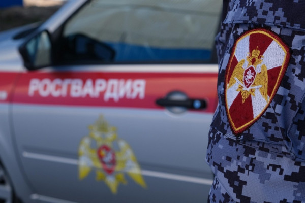 В Смоленске росгвардейцы задержали подозреваемых в краже 