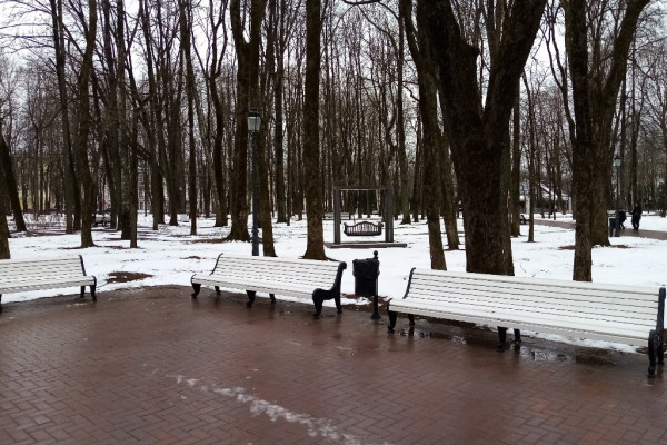 Жителей Смоленской области призывают быть осторожными из-за непогоды